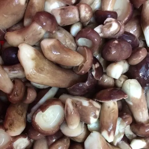 Замороженный сушеный шиитаке мелалеука гриб Tylopilus Felleus из Вьетнама сырое пищевое дополнение в упаковке