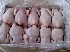 th - 2023-06-12T032412.072.jpg