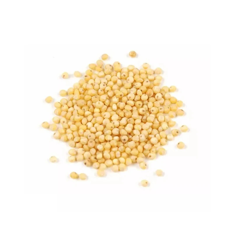 Yellow Millet Glutinous Millet For Bird Feed Buy Yellow Millet For