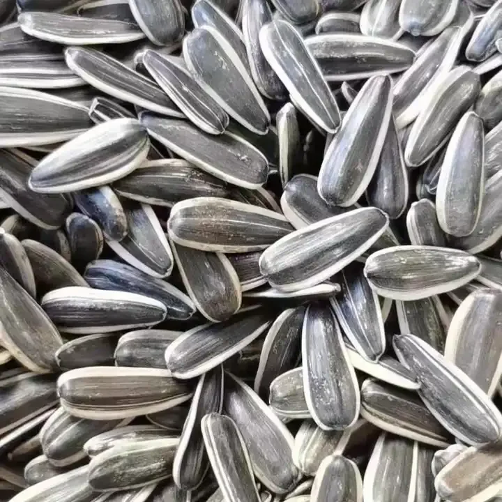 Roasted Salted Hybrid Organic White Hulled Sunflower Seeds Bag 50kg For