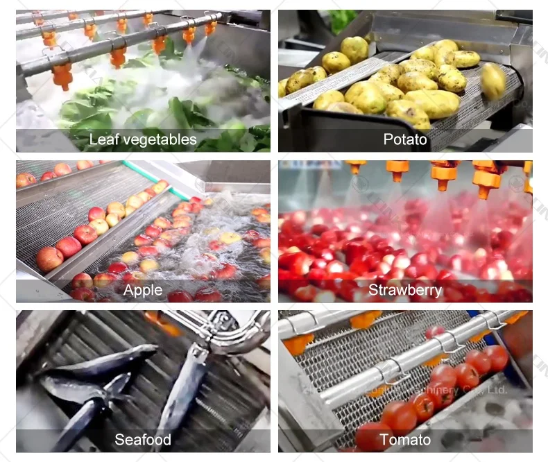 Lonkia Industrial Fruit Vegetable Washing Line - High Performance