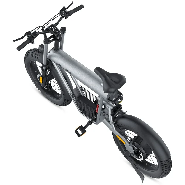 T20 EBIKE Electric Mountain Bike Product