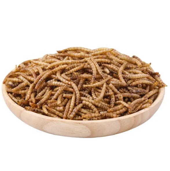 Wholesale Meal Worms Dried Poultry Feed Dried Mealworms Buy Meal Worms,Mealworm Meal Insect