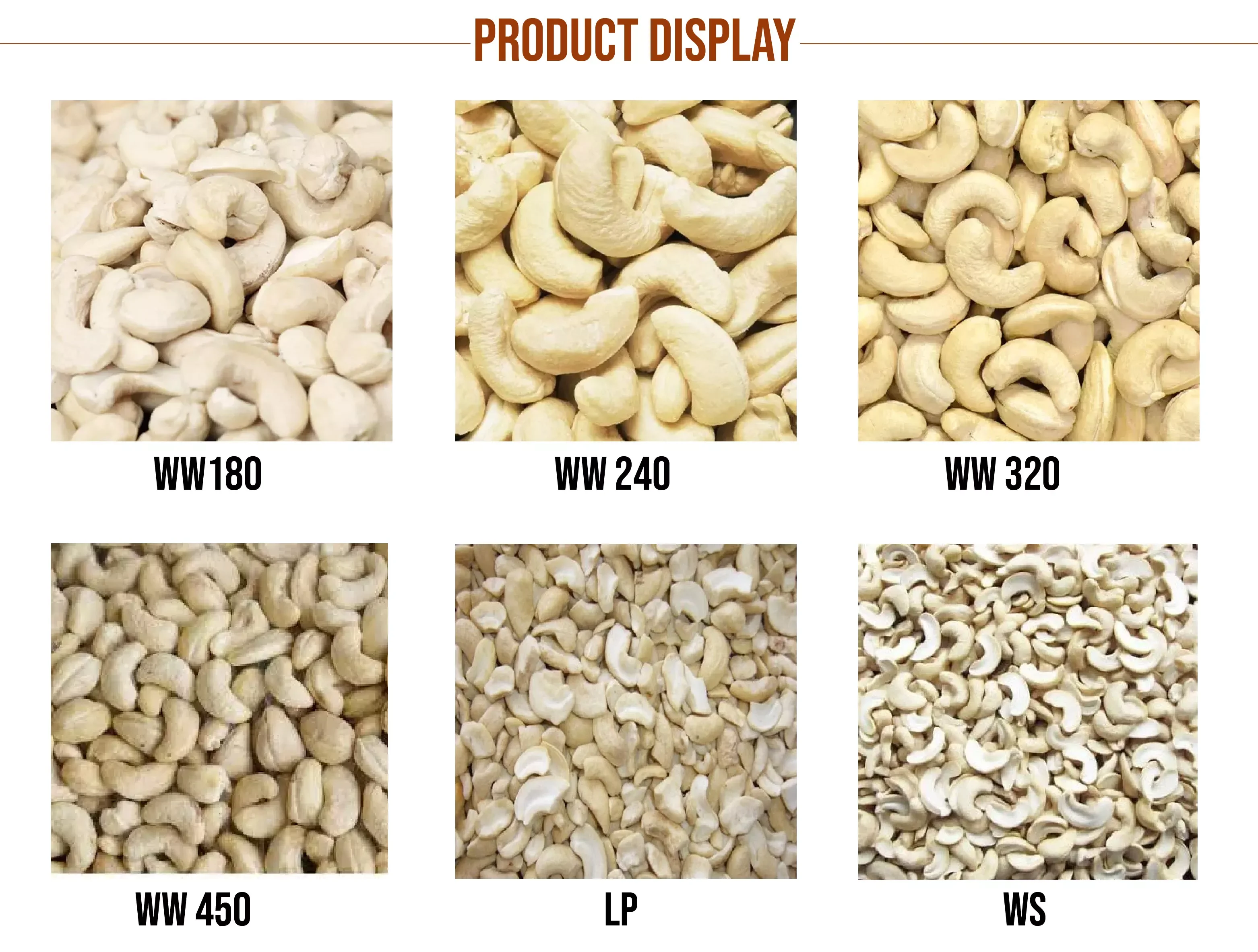 Vietnam Whole Sale Cheapest Cashew Nuts - 100% High Quality Delicious Crunchy Dried Organic Cashew Nuts Top Grade