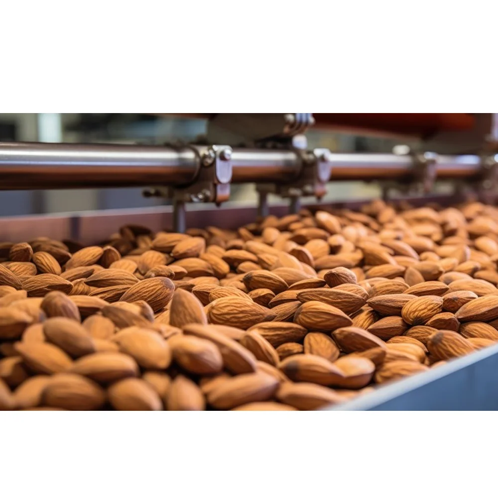 New Crop High Nutritional Value Healthy Food Health-care Food Snack Product Badam Almond Nuts