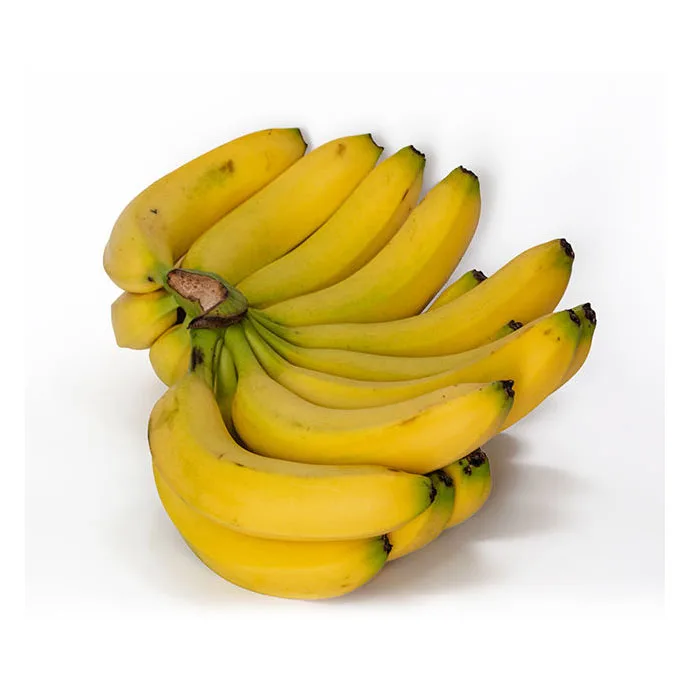 Fresh Plantain Bananas Of Ecuador Yellow Green Premium White Tropical