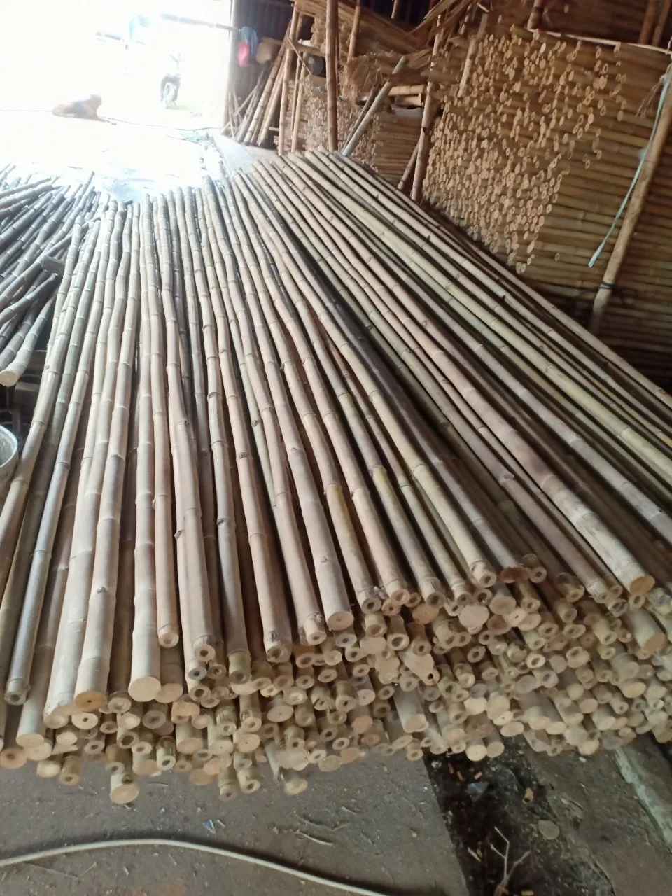 Bamboo Poles Are Used In Construction And Interior Decoration,Used As ...