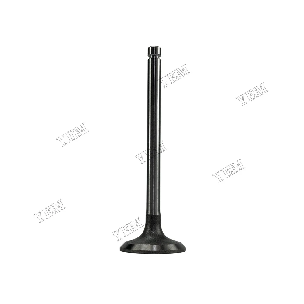 Intake Valve Fit for Laidong 4L22B Engine 4