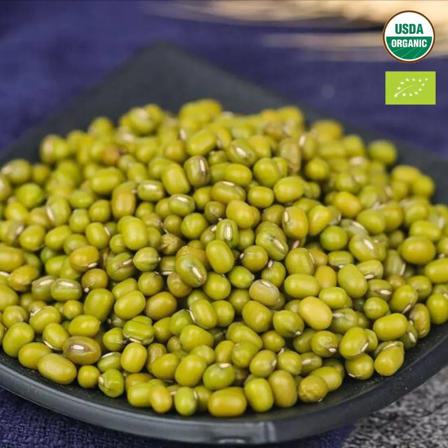 Премиум MOONG BEANS зеленый сделанный во Вьетнаме // хорошее качество для приготовления пищи Лучшая цена вас
