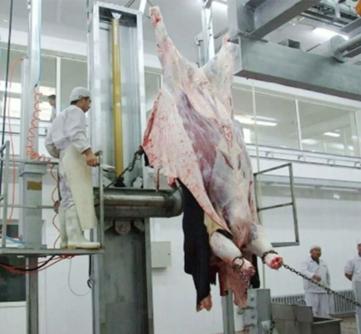Highly efficient cattle peeling equipment for slaughterhouses