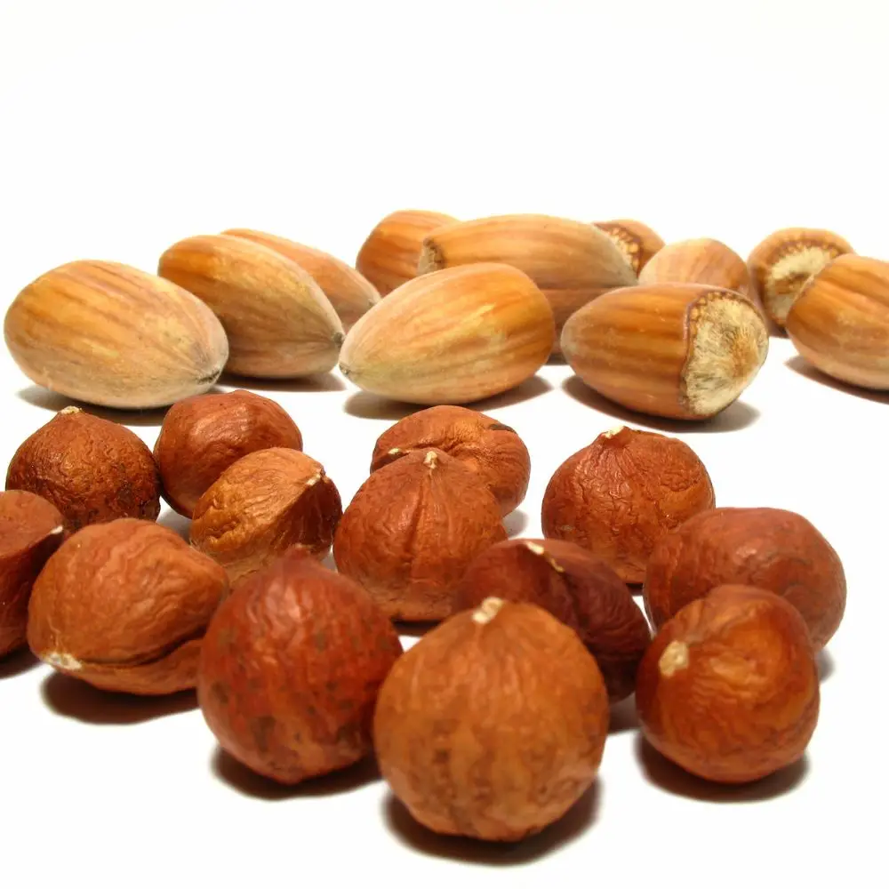 Hazelnuts 10.jpg