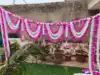 White Pink
