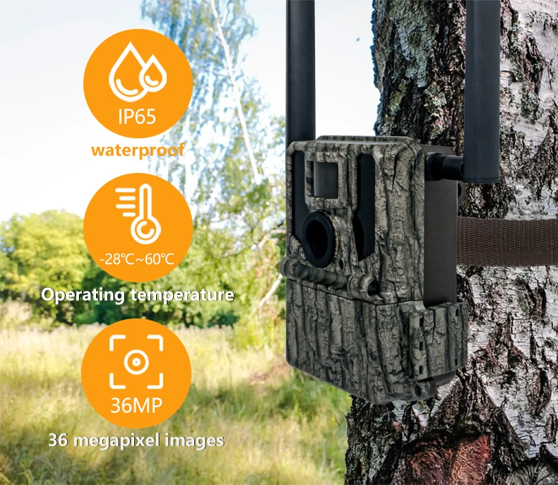 KW897 wildlife camera 4g built in SIM card 36MP 2K scouting camera  Hunting plug&play ready device 1080p Video hidden