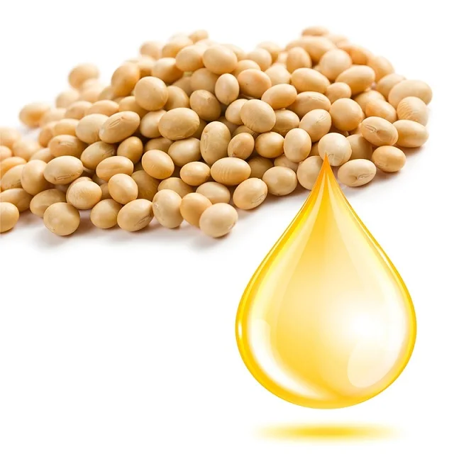 soybeanoil10.jpg
