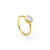 Rainbow Moonstone