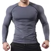 Iron Gray