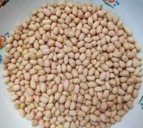 Best selling Jumbo Peanut Kernels/Peanut supplier for animal feed