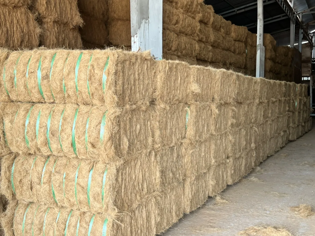 Bulk Sustainable Eco Friendly Coconut Fiber For Sale From Vietnam Buy