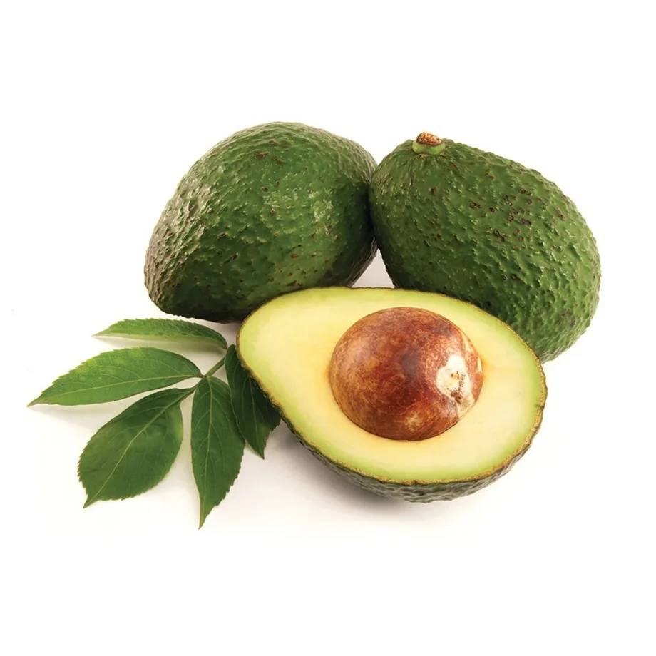 Organic Avocados for Sale at Wholesale Price . Buy Normal Avocado From Us