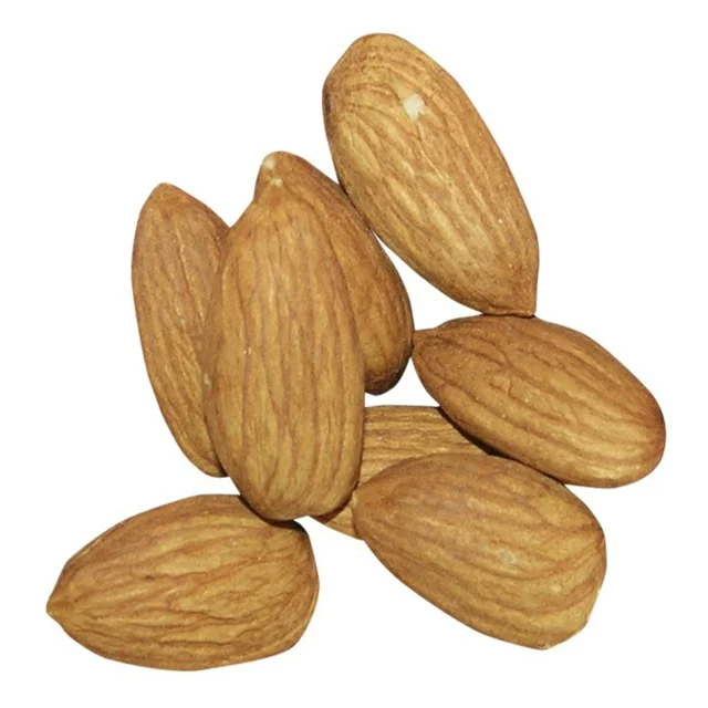 Pure Organic Large Grain Almonds Raw Nuts & Kernel Snacks Order Natural Organic Almonds Wholesale