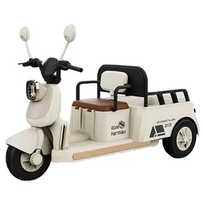 3-Speed Open Three-Wheel Electric Pedicab Electric Tricycle  Battery Electric Bike for Kids Ride on