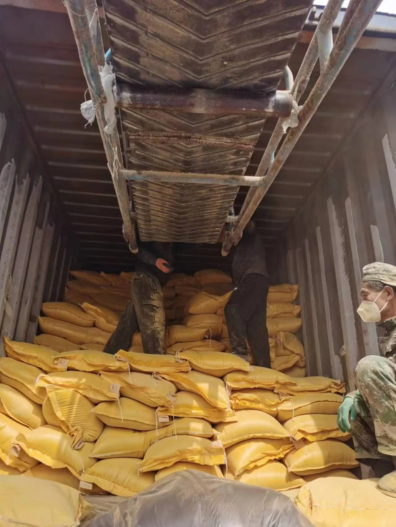 Corn Gluten Meal For Animal Feed Buy Maize Meal,Soybean Meal For