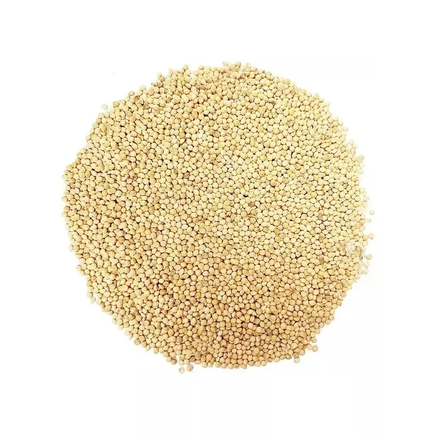 100 Dried Whole Millets Grains For Animal Feed Food Grade Organic