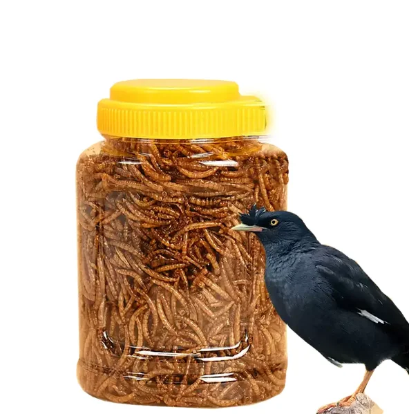 Wholesale Meal Worms Dried Poultry Feed Dried Mealworms Buy Meal