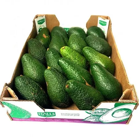 Best Quality Wholesale Fresh Produce Vegetable Buyer Avocado Fresh Grade Edible Avocado From the Farm