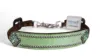 Parrot Green