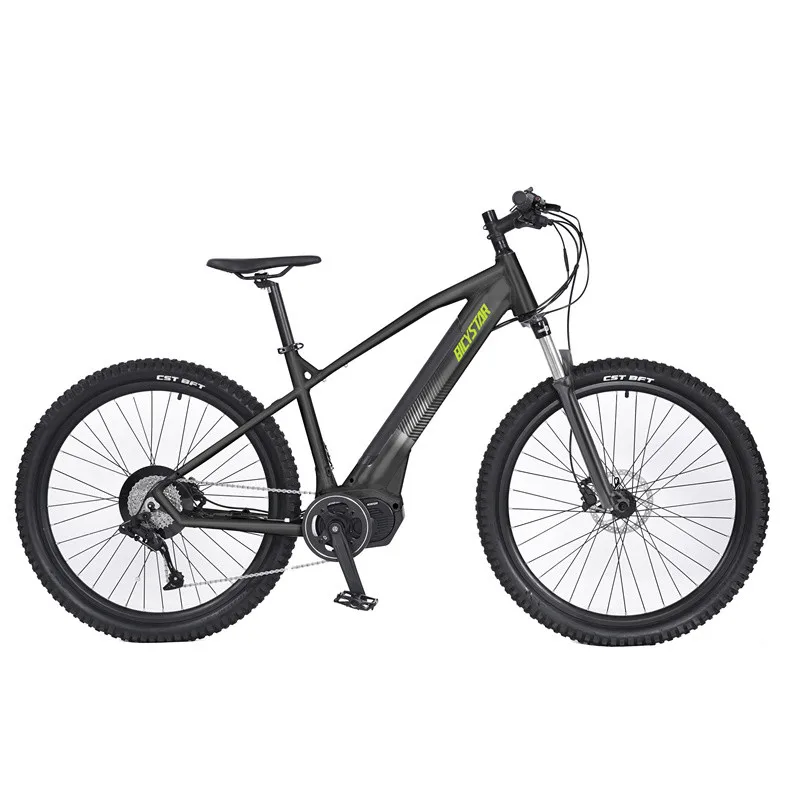 Electric Bike For Women And Men Mtb Electric Bike Beautiful Design 350w