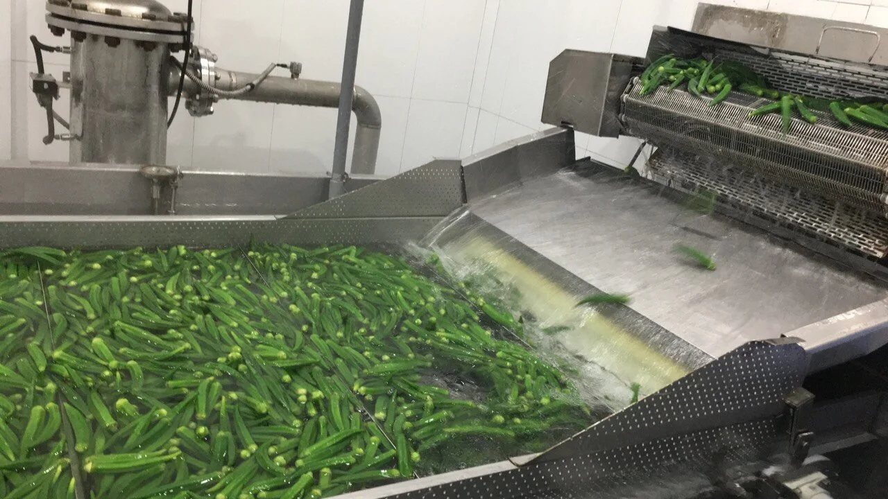 High Quality IQF Frozen Okra Harvester Cut in Whole From Vietnam Supplier Best Price Export Standard Quality Frozen Vegetables