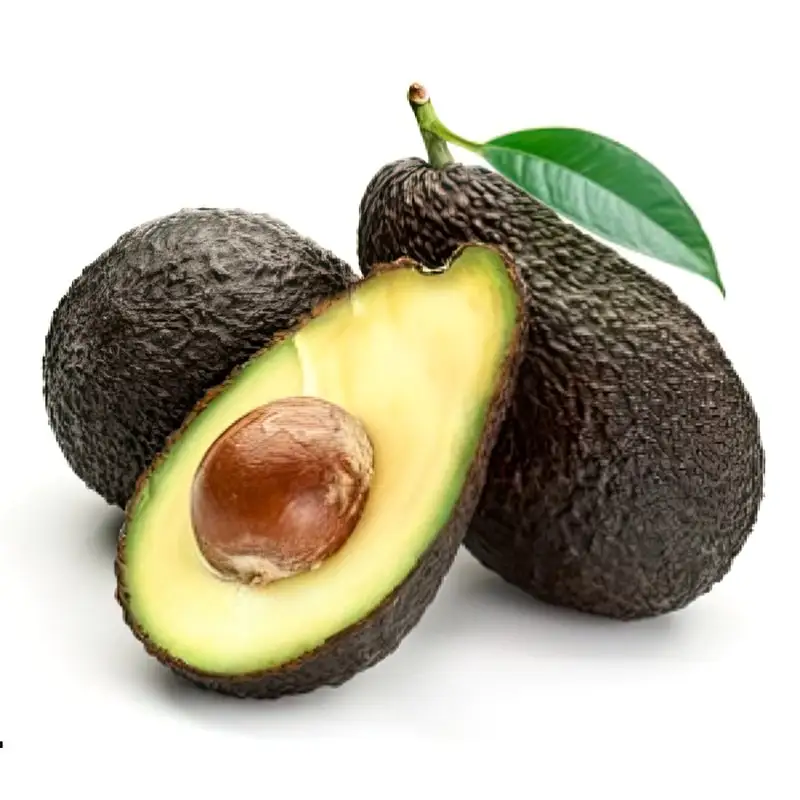 Wholesale Fresh and Frozen Top Grade Avocado Fruits at Good Price