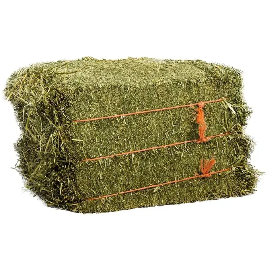 Philippines Buy Alfalfa Hay Animal Feeding Stuff Alfalfa,Hay/alfalfa ...