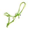 Parrot Green