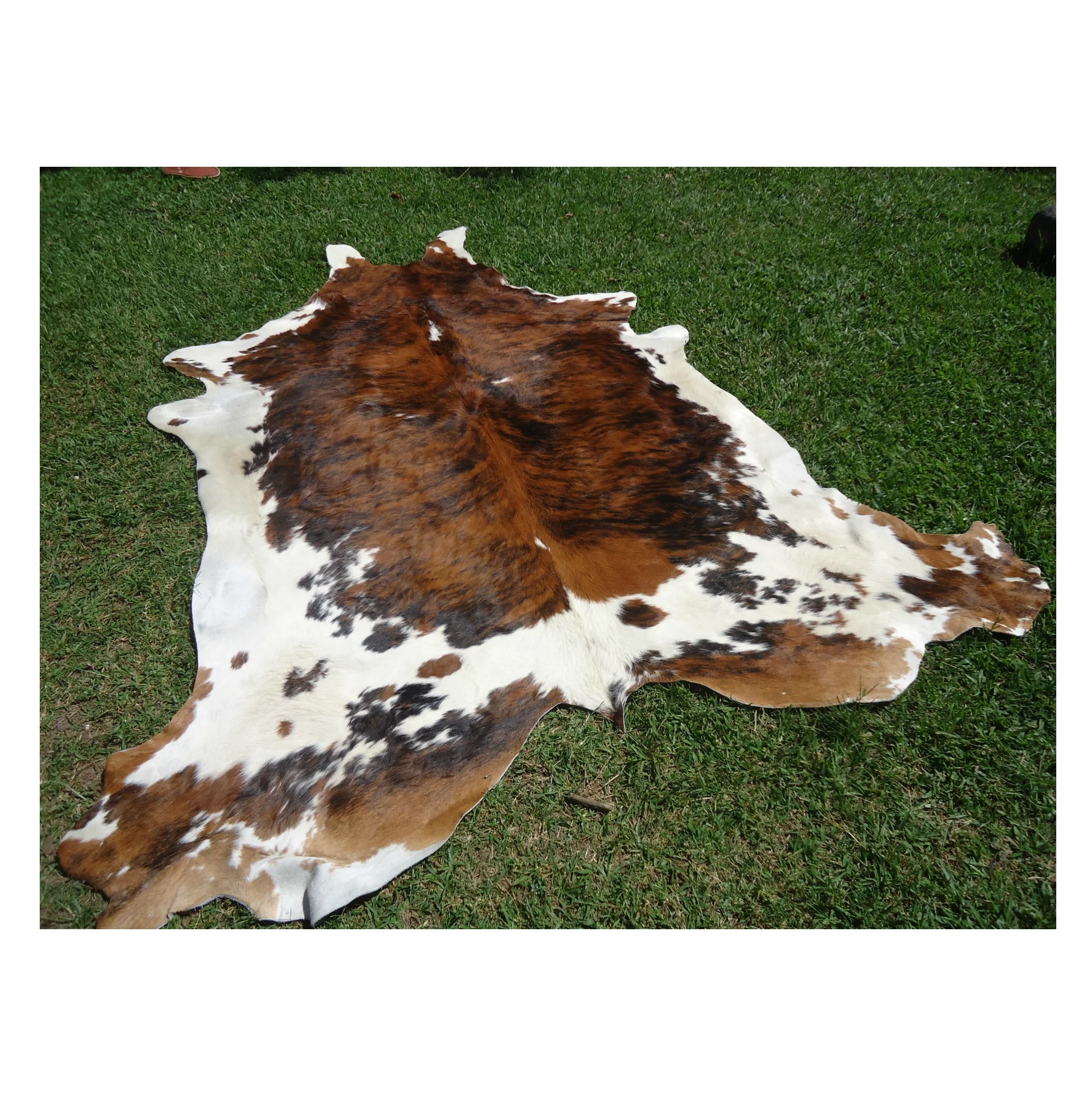 Best Quality Of Dry And Wet Salted Cow Hides / Skins / Animal Cattle