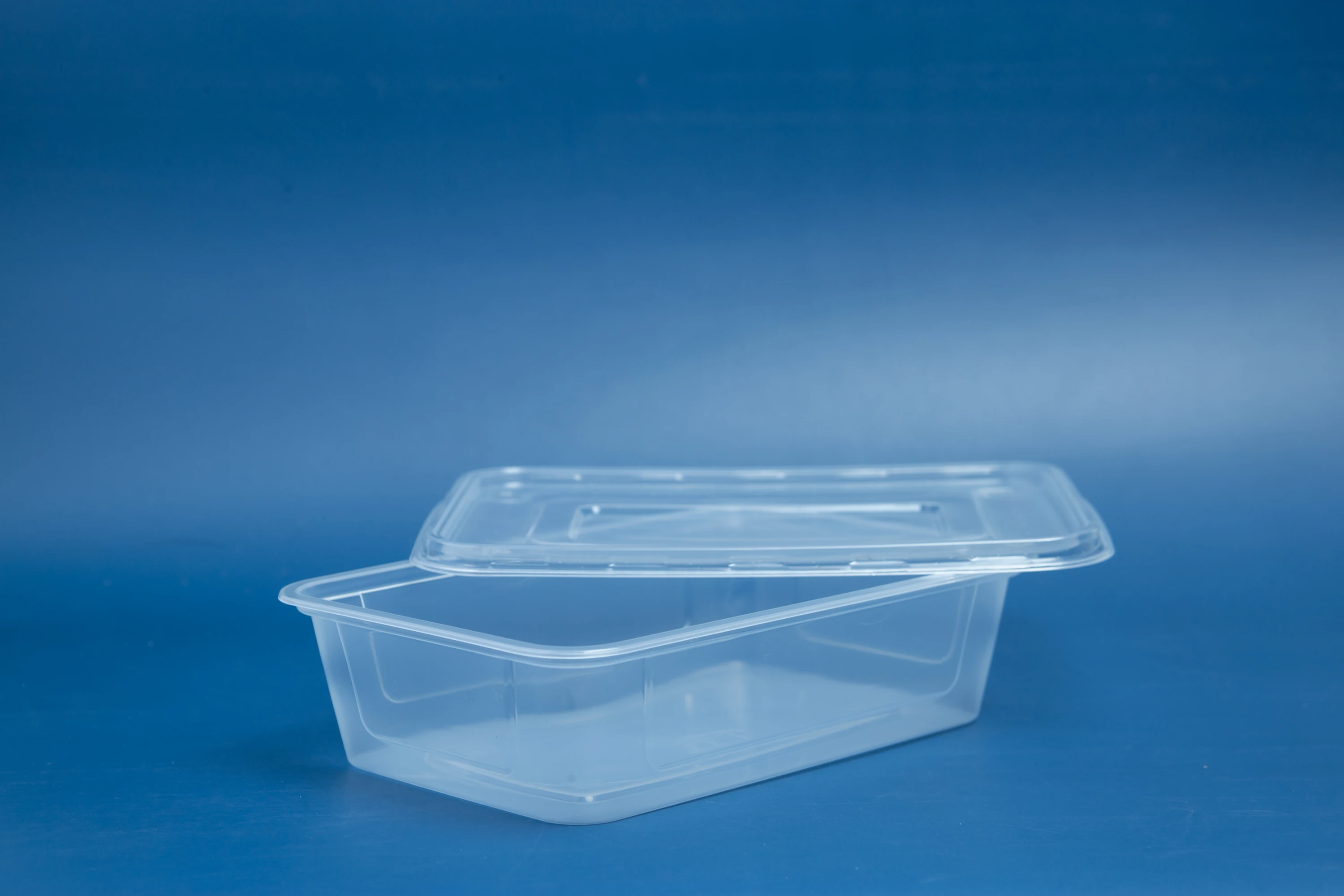 Custom 550ml Microwavable Fast Food Takeaway Box Disposable Clear