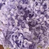 viola chiaro