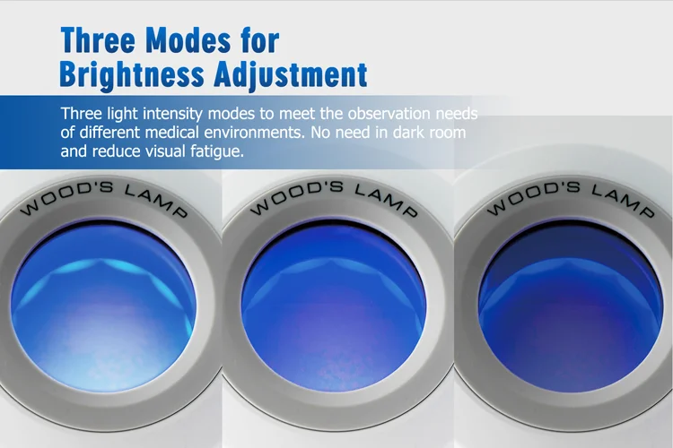 Sigma Sw11 Woods Lamp Uva Medical Magnifying Glass Woods Lamp Skin