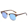 C5: Tortoise/ Blue