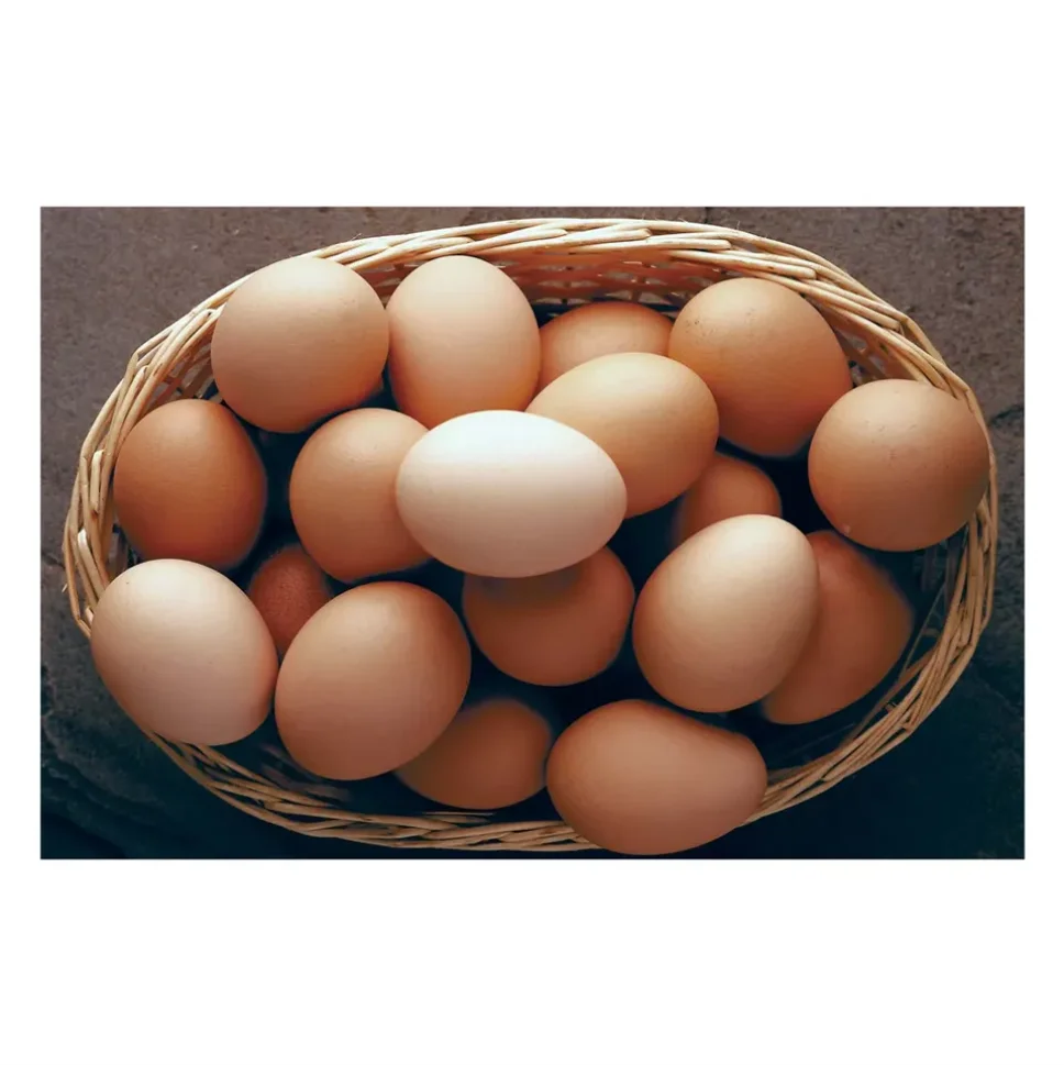 Купить яйцо в мордовии. Домашние куриные яйца. Яйцо домашнее куриное. Яйца Деревенские. Деревенские яйца фирма.
