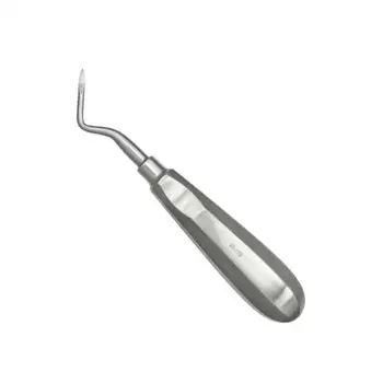 77R Root Dental Tooth Elevator – Stainless Steel, Surgical Grade, Autoclavable