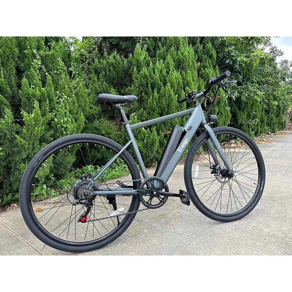 Freego E7 Electric Mountain Bicycle For City Riding