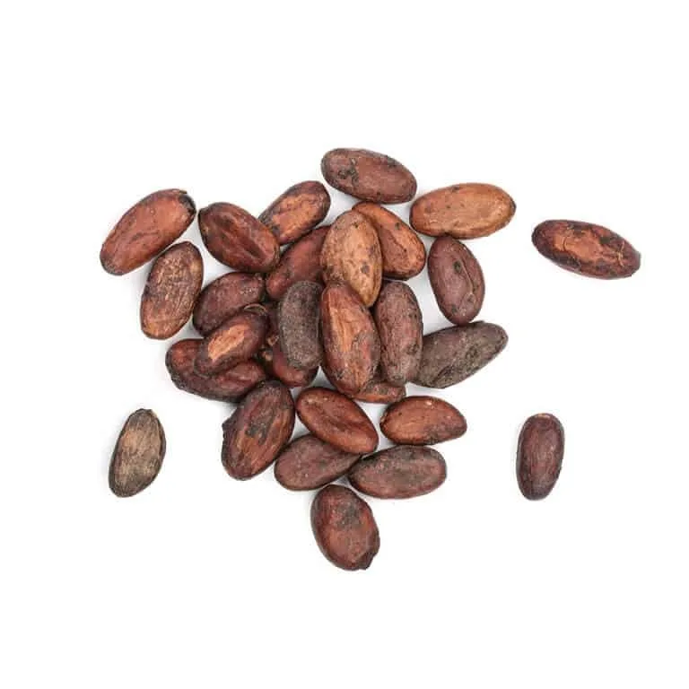 Cocoa Beans New Crop Fermented Cocoa Beans Buy Cheap Rate Wholesale Best Cocoa Beans For Sale