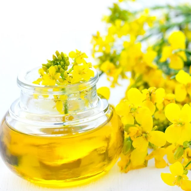 Оптовая продажа масло рапсового масла для