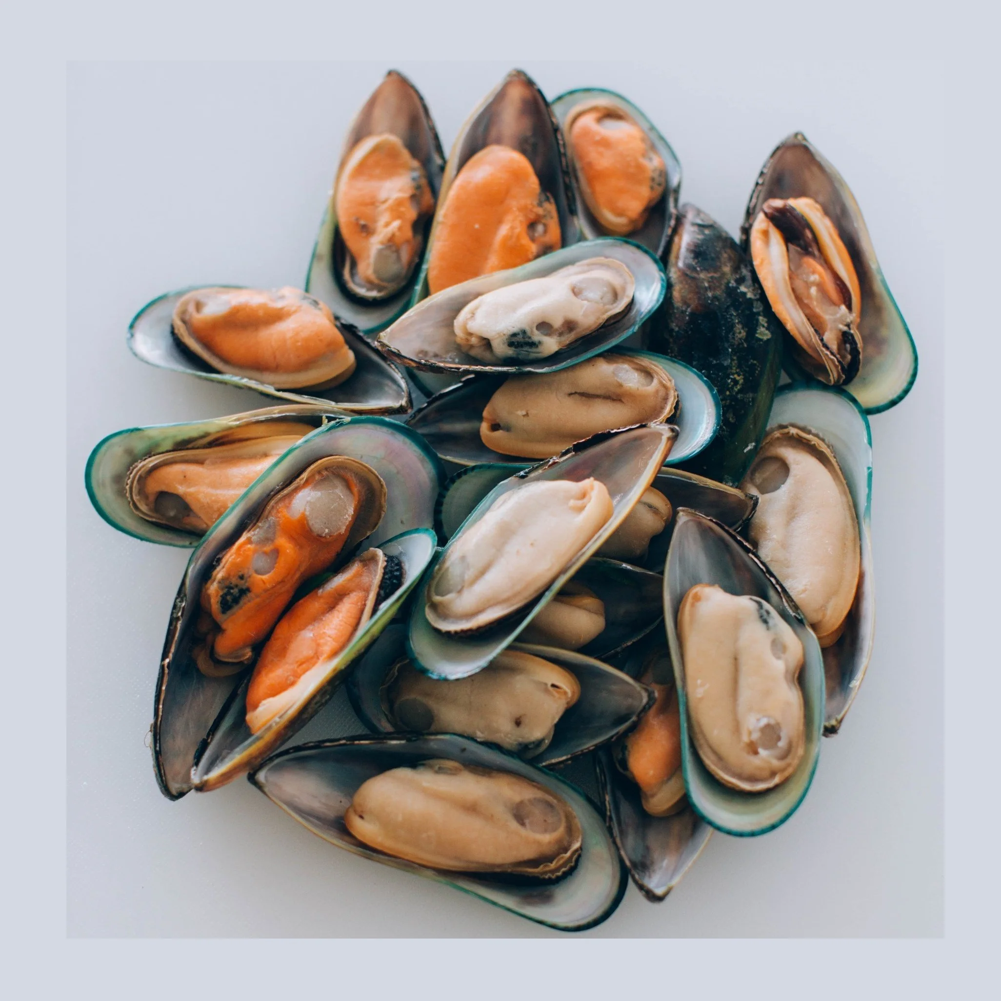 Frozen Seafood Mussel Half Shell Mussel - Buy Best Quality Hot Sale ...