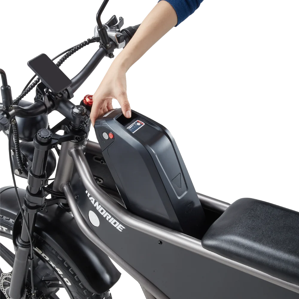 RANDRIDE DM711 Electric Motorcycle Dual Motor Drive 1000W*2 Peak Power for City Commuting