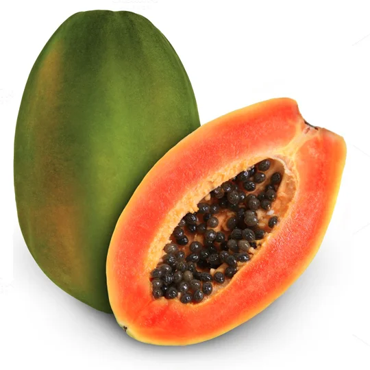 15555 (1).png