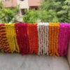 Choice of colours