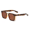 C4: Tort Gold/ Brown